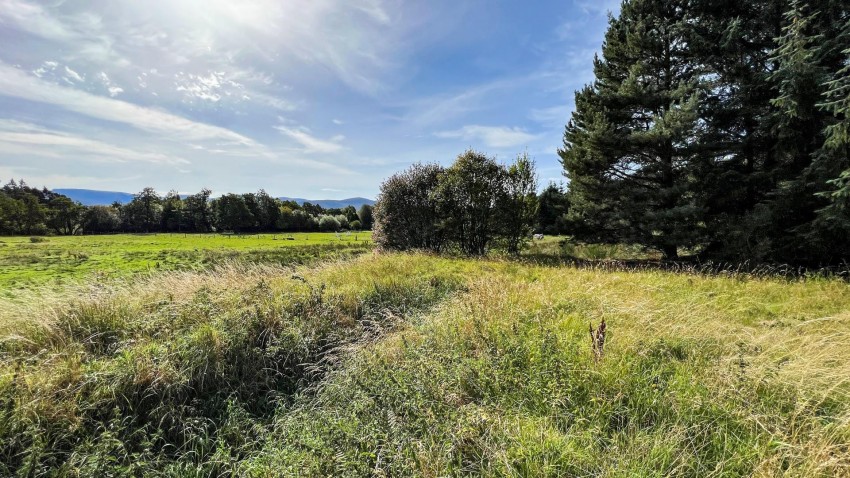 Images for Dalfaber Road, Aviemore