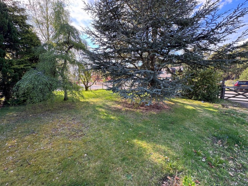 Images for Hawthorn, Nethy Bridge
