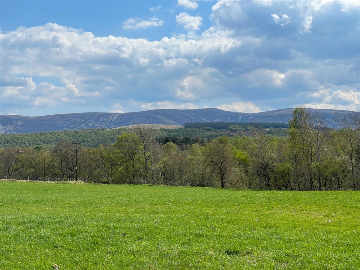 Images for House Site, Mid Anagach, Grantown on Spey EAID:massoncairnsltdapi BID:1