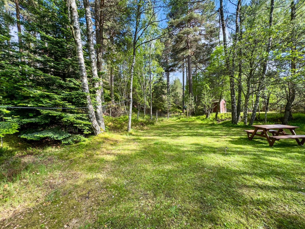 Images for Tormore, Station Road, Carrbridge EAID:massoncairnsltdapi BID:1