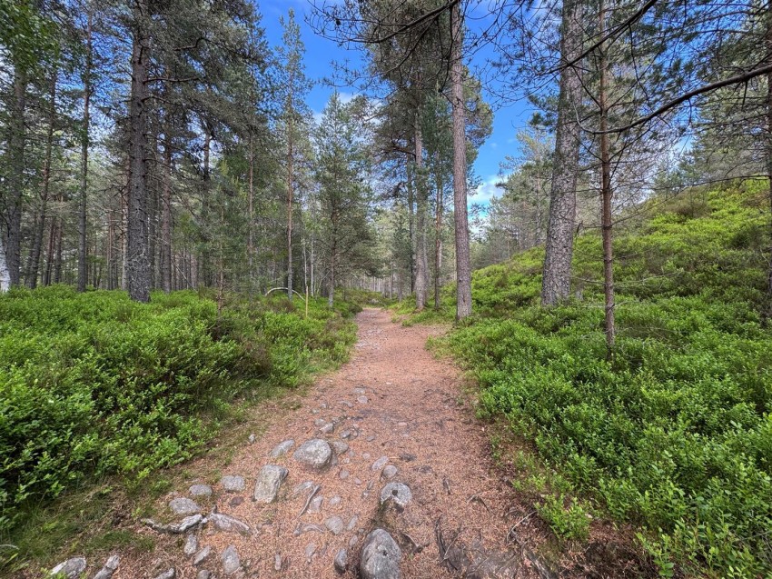 Images for Tormore, Station Road, Carrbridge