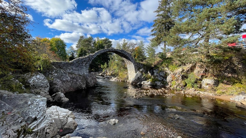 Images for 8 Pinefield, Carrbridge