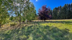 Images for Sylvan Cottage, Lynemacgregor, Grantown on Spey