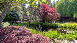 Images for Woodside Avenue, Grantown on Spey