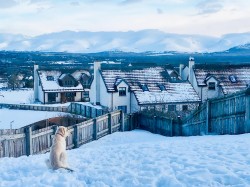 Images for 20 Lodge Lane, High Burnside, Aviemore