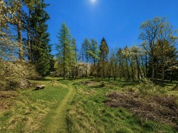 Images for Tigh na H'Ath, Dulnain Bridge, Grantown on Spey