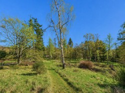 Images for Tigh na H'Ath, Dulnain Bridge, Grantown on Spey