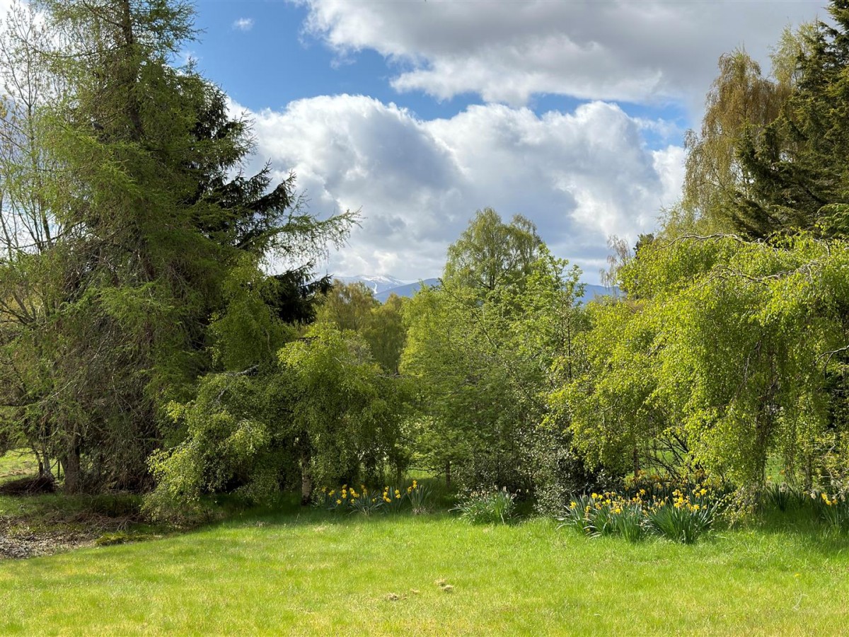 Images for Craigowrie,Skye Of Curr, Dulnain Bridge EAID:massoncairnsltdapi BID:1