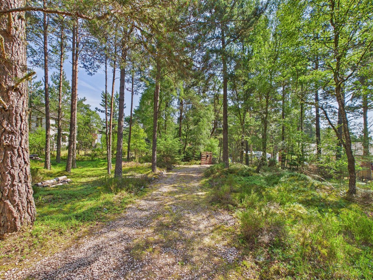 Images for Carsaig, Kinchurdy Road, Boat Of Garten EAID:massoncairnsltdapi BID:1